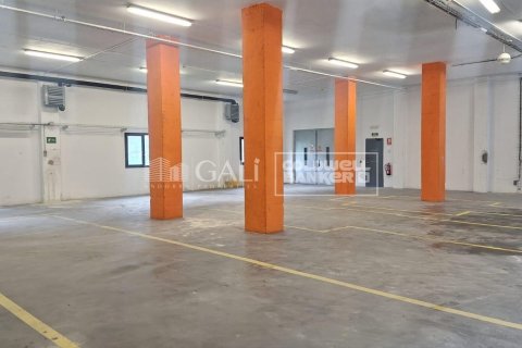 Liikekiinteistö vuokrattavana Principado De Andorra (Ninguna Poblacion Tiene C.P.), Lleida, Espanja , 2831 m2 No. 156711 - kuva 9