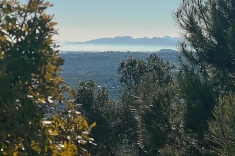 Land zum Verkauf in Torrent, Valencia, Spanien Nr. 182923 - Foto 6
