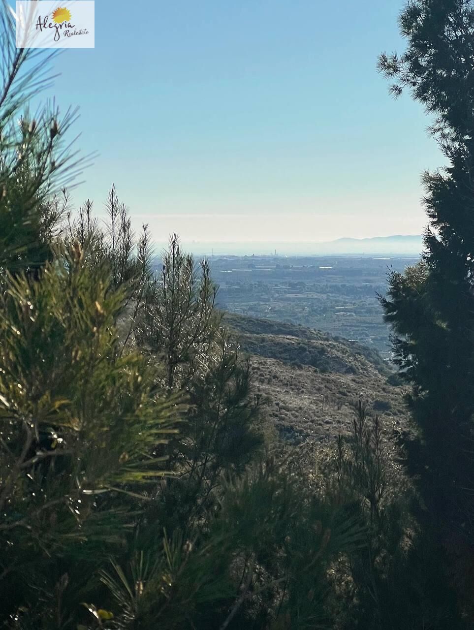 Terreno a Torrent, Valencia, Spagna N° 182923