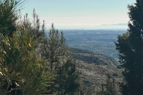 Land zum Verkauf in Torrent, Valencia, Spanien Nr. 182923 - Foto 5
