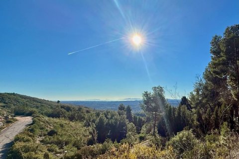 Land zum Verkauf in Torrent, Valencia, Spanien Nr. 182923 - Foto 3