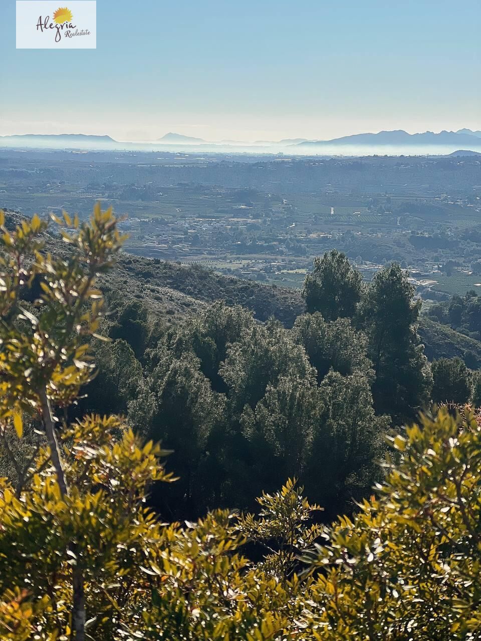 Terreno a Torrent, Valencia, Spagna N° 182923