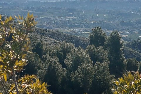Land zum Verkauf in Torrent, Valencia, Spanien Nr. 182923 - Foto 4
