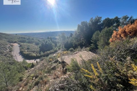 Land in Torrent, Valencia, Spanien Nr. 182923