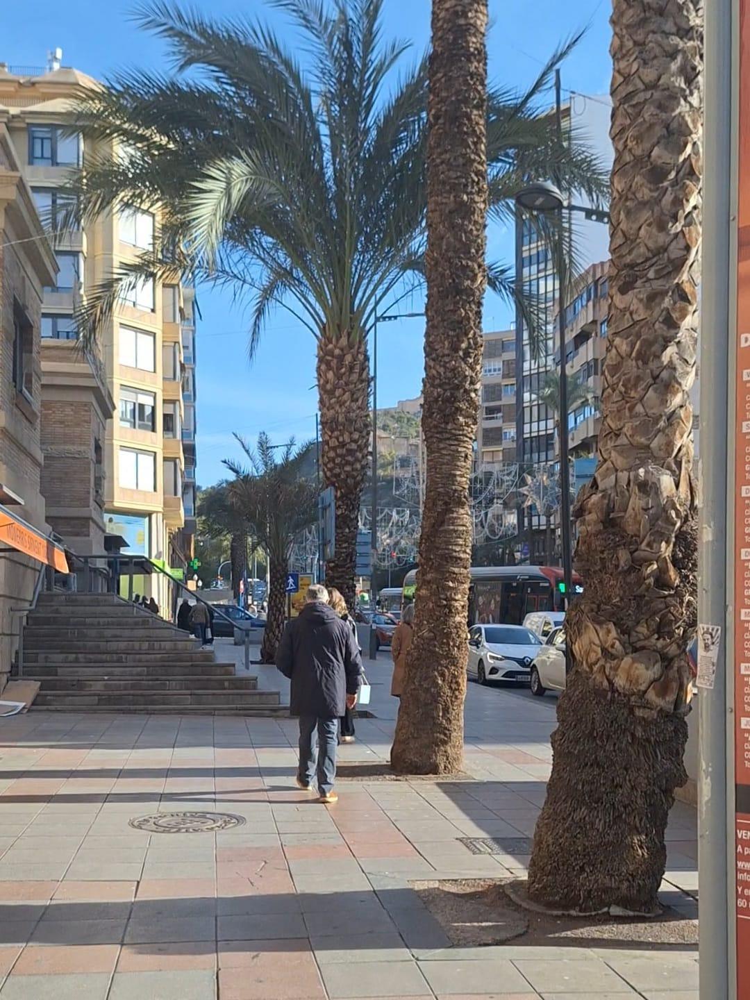 Kommersiell fastighet i Alicante, Spanien 19 kvm. Nr. 182922