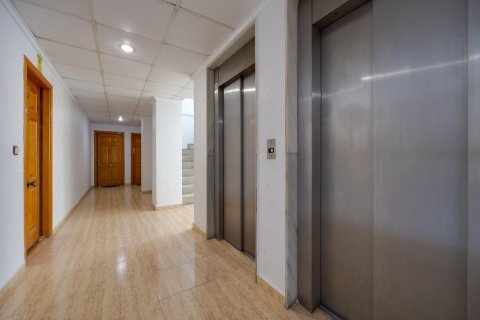 Appartamento in vendita a Torrevieja, Alicante, Spagna 54 mq. N° 182917 - foto 23