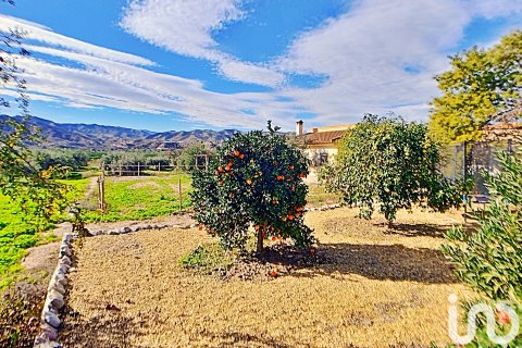 Kaupunkipientalo myytävänä Arboleas, Almeria, Espanja, 7 makuuhuonetta, 300 m2 No. 153789 - kuva 7