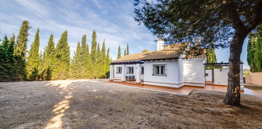 Дом в Фуэнте Аламо де Мурсия, Мурсия, Испания 3 спальни, 180.49м2 №190762