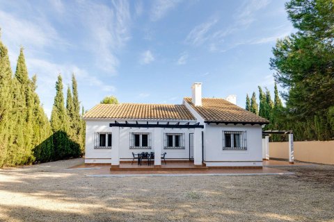 Продажа дома в Фуэнте Аламо де Мурсия, Мурсия, Испания 3 спальни, 180.49м2 №190762 - фото 23
