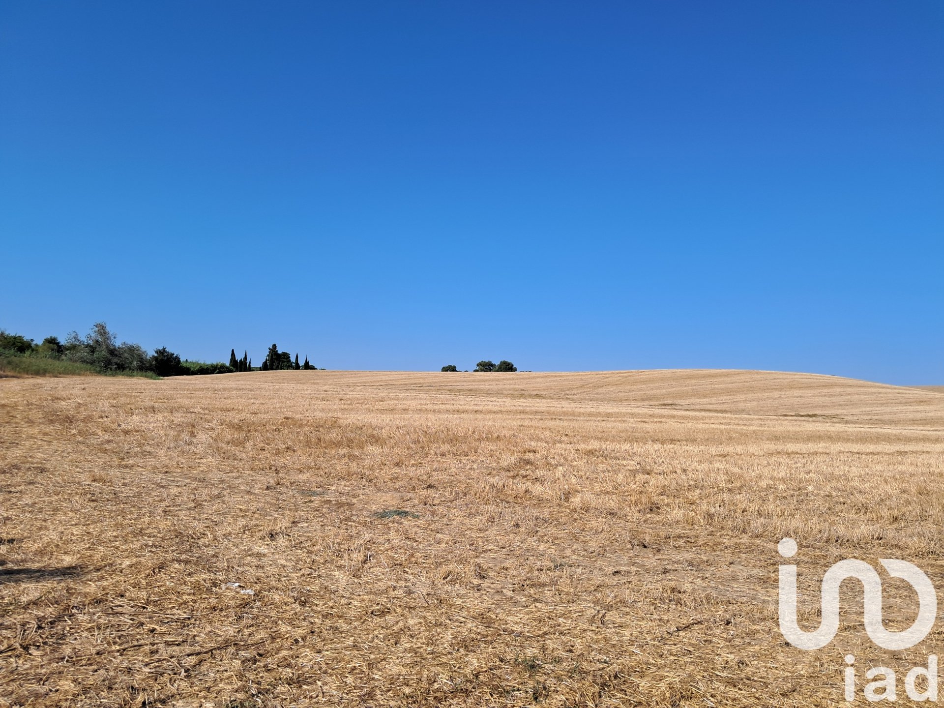 Land in Arcos de la Frontera, Cadiz, Spanien 91500 m2 Nr. 185662