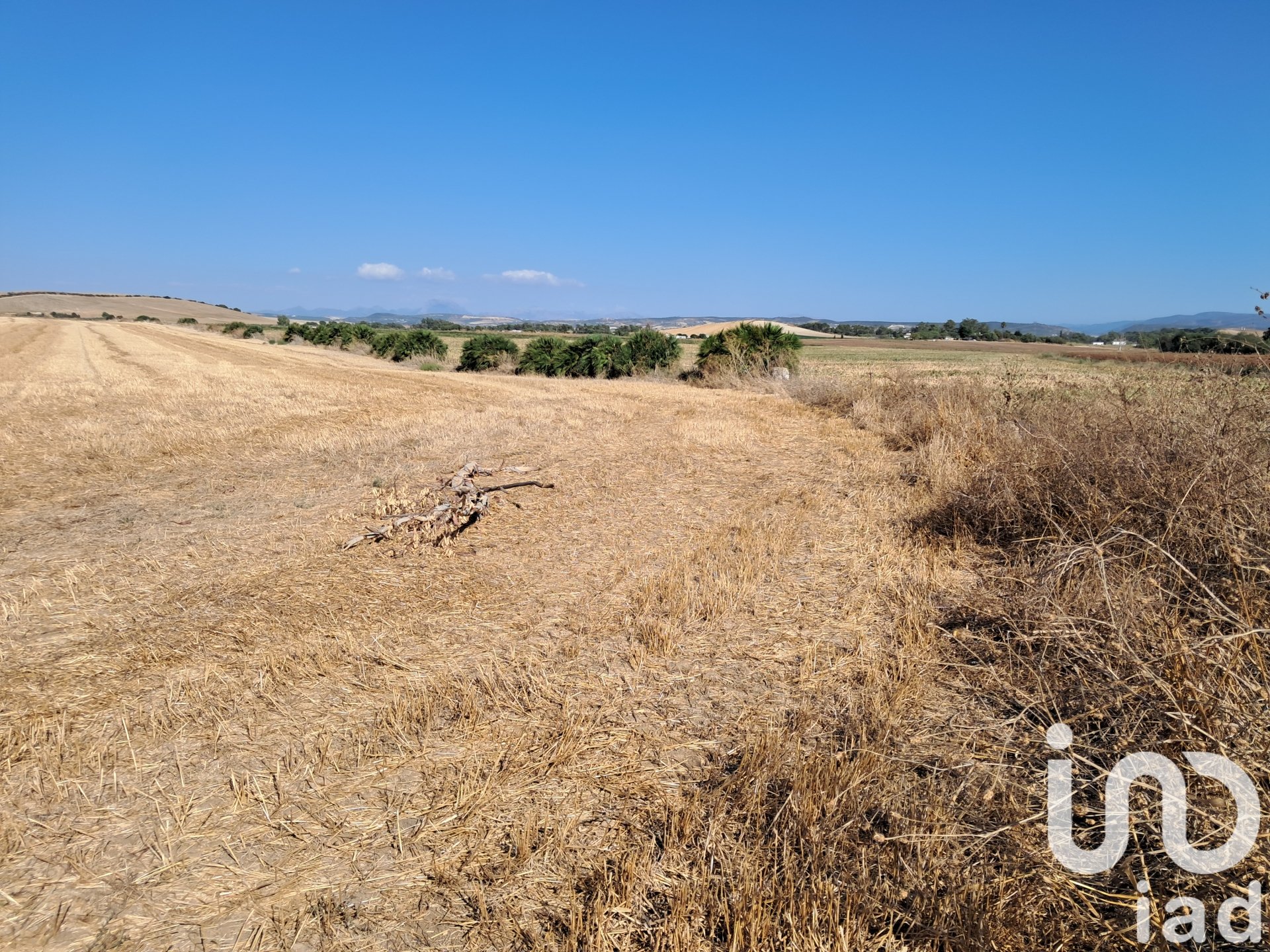 Land in Arcos de la Frontera, Cadiz, Spanien 91500 m2 Nr. 185662