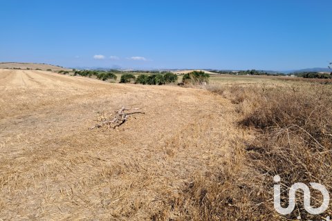 Terreno in vendita a Arcos de la Frontera, Cadiz, Spagna 91500 mq. N° 185662 - foto 4