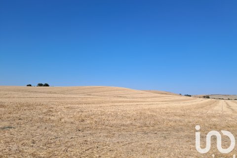 Land plot in Arcos de la Frontera, Cadiz, Spain 91500 sq.m. No. 185662
