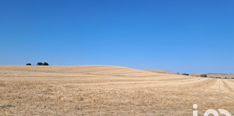 Terreno a Arcos de la Frontera, Cadiz, Spagna 91500 mq. N° 185662