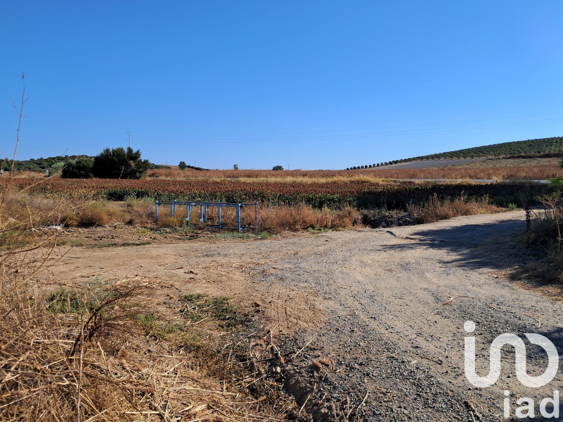 Land in Arcos de la Frontera, Cadiz, Spanien 91500 m2 Nr. 185662