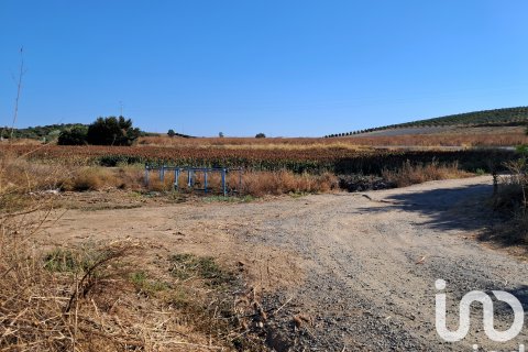 Terreno in vendita a Arcos de la Frontera, Cadiz, Spagna 91500 mq. N° 185662 - foto 5