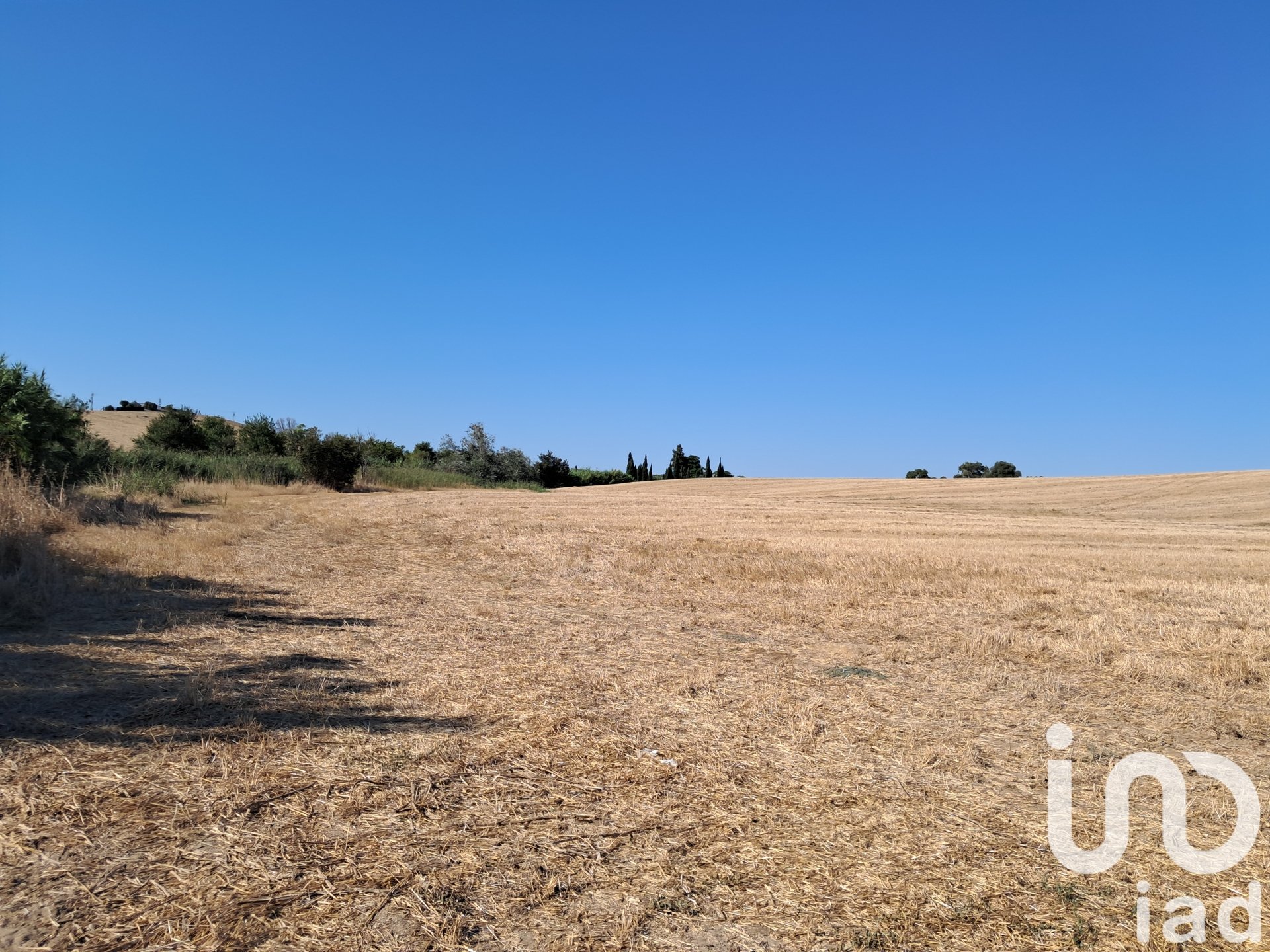 Land in Arcos de la Frontera, Cadiz, Spanien 91500 m2 Nr. 185662