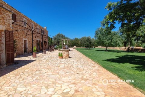 Finca vuokrattavana Binissalem, Mallorca, Espanja, 3 makuuhuonetta, 427 m2 No. 181292 - kuva 26