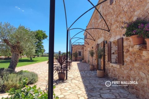Finca vuokrattavana Binissalem, Mallorca, Espanja, 3 makuuhuonetta, 427 m2 No. 181292 - kuva 25