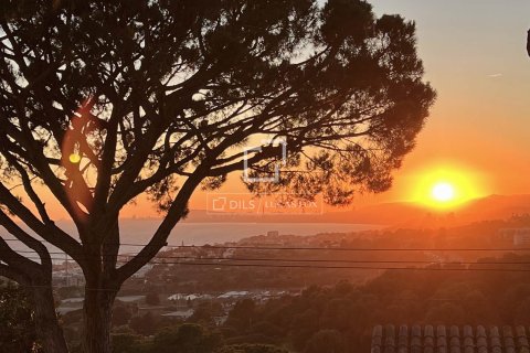 Villa for sale in Premia De Dalt, Barcelona, Spain 6 bedrooms, 593 sq.m. No. 150482 - photo 17