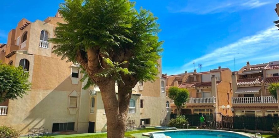Apartamento en Torrevieja, Alicante, España 2 dormitorios, 62 m2 No. 184329