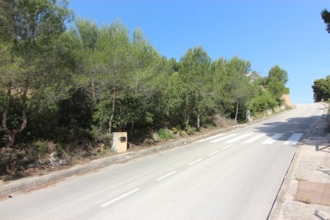 Villa in vendita Javea, Alicante, Spagna N° 80691 - foto 2