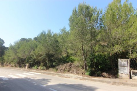 Villa in vendita Javea, Alicante, Spagna N° 80691 - foto 3