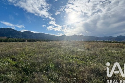 Lokal usługowy w Pego, Alicante, Hiszpania nr 185289 – zdjęcie 6
