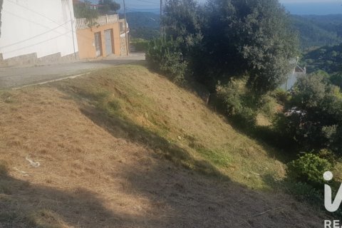 Tontti myytävänä Sant Cebria De Vallalta, Barcelona, Espanja , 1007.17 m2 No. 185295 - kuva 2