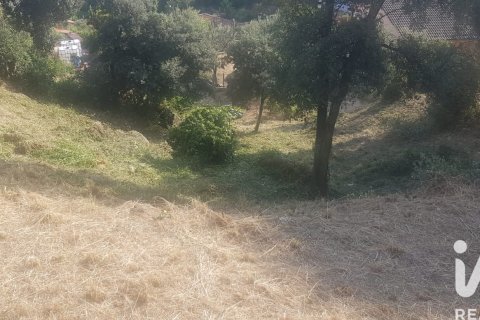 Tontti myytävänä Sant Cebria De Vallalta, Barcelona, Espanja , 1007.17 m2 No. 185295 - kuva 3