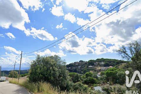 Land plot à Sant Cebria De Vallalta, Barcelona, Espagne 1007.17 m2 No. 185295