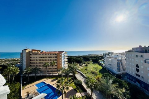 Penthouse à La Mata, Alicante, Espagne 3 chambres, 135 m2 No. 151385