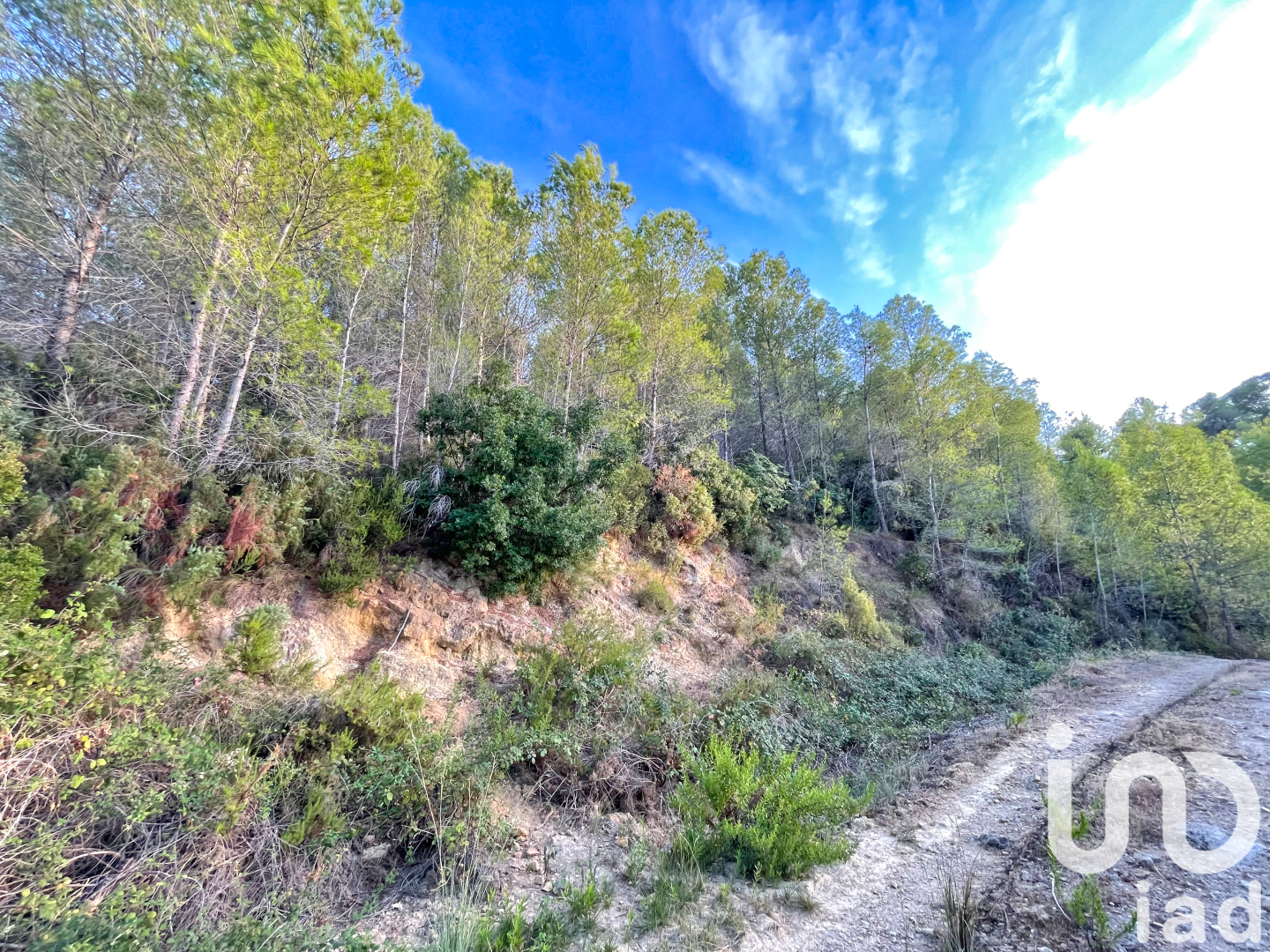 Земельный участок в Адор, Валенсия, Испания 3000м2 №195155