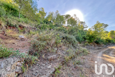 Land zum Verkauf in Ador, Valencia, Spanien 3000 m2 Nr. 195155 - Foto 10