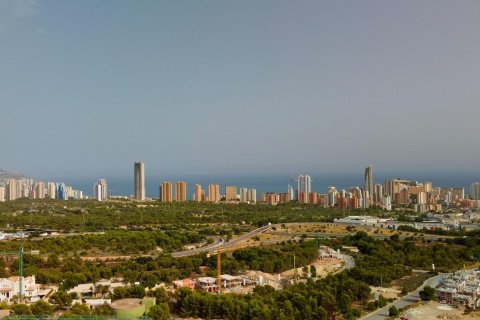 Takvåning till salu i Finestrat, Alicante, Spanien 3 sovrum, 220 kvm. Nr. 195158 - foto 26