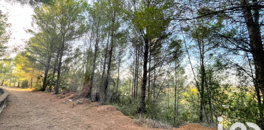 Land plot in Ador, Valencia, Spain 4006 sq.m. No. 195153