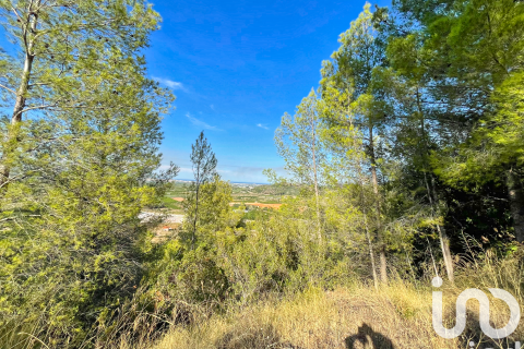 Land plot for sale in Ador, Valencia, Spain 4006 sq.m. No. 195153 - photo 30