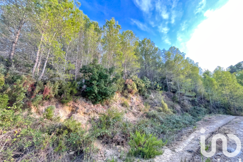 Land zum Verkauf in Ador, Valencia, Spanien 5420 m2 Nr. 195154 - Foto 14