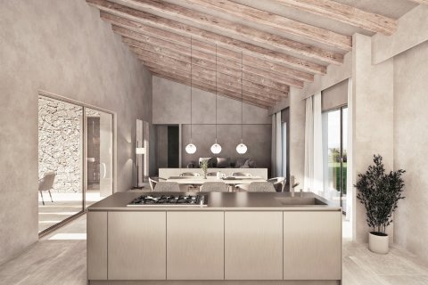 Tontti myytävänä Ariany, Mallorca, Espanja, 3 makuuhuonetta, 15048 m2 No. 137545 - kuva 4
