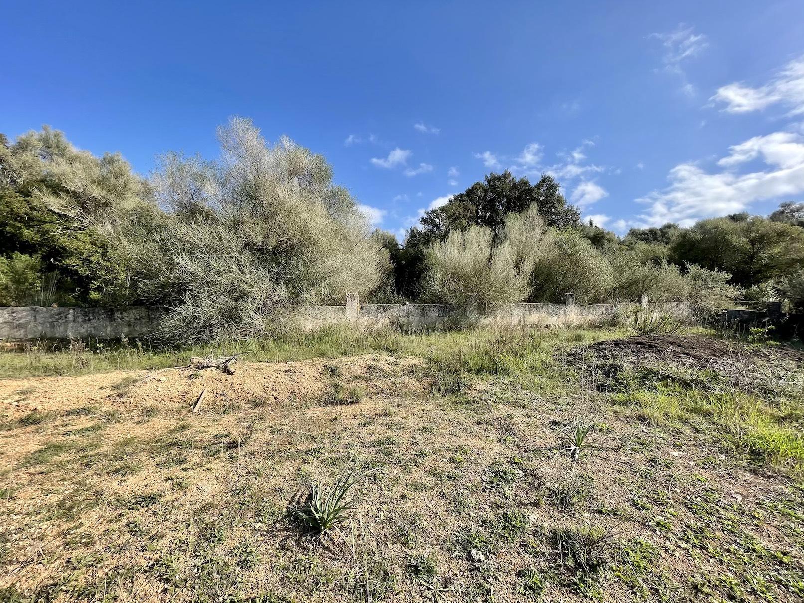 Land plot à Ariany, Mallorca, Espagne 3 chambres, 15048 m2 No. 137545