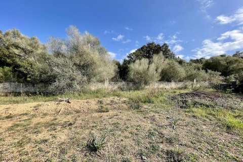 Tontti myytävänä Ariany, Mallorca, Espanja, 3 makuuhuonetta, 15048 m2 No. 137545 - kuva 10