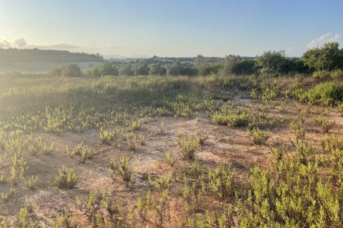 Tontti myytävänä Ariany, Mallorca, Espanja, 3 makuuhuonetta, 15048 m2 No. 137545 - kuva 9