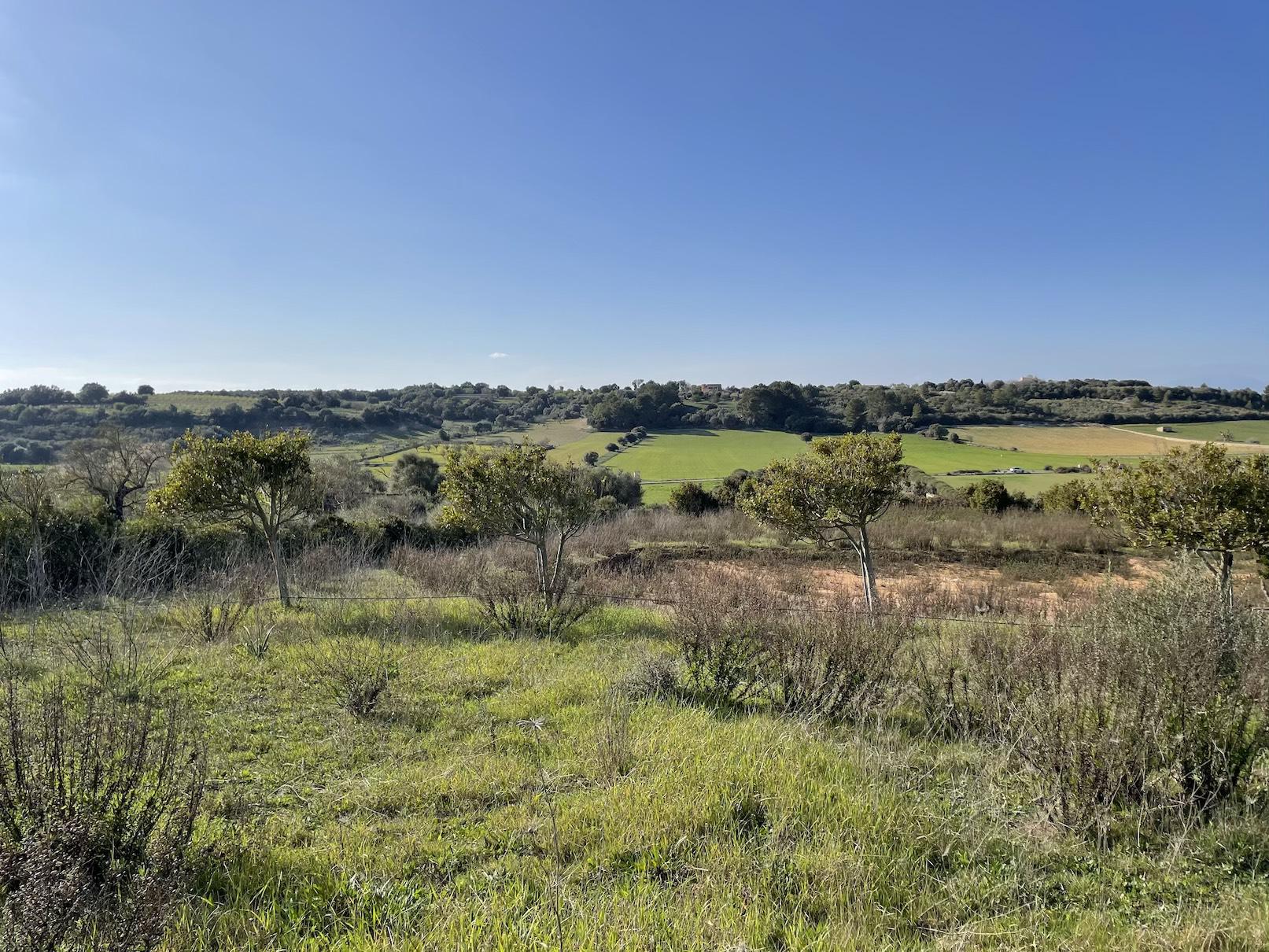 Land plot à Ariany, Mallorca, Espagne 3 chambres, 15048 m2 No. 137545