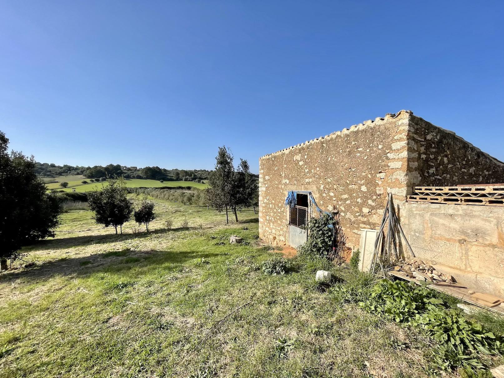 Land plot à Ariany, Mallorca, Espagne 3 chambres, 15048 m2 No. 137545