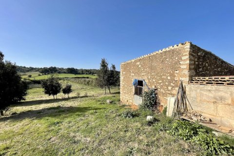 Tontti myytävänä Ariany, Mallorca, Espanja, 3 makuuhuonetta, 15048 m2 No. 137545 - kuva 7