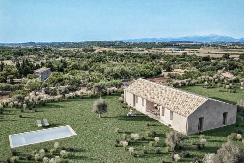 Tontti myytävänä Ariany, Mallorca, Espanja, 3 makuuhuonetta, 15048 m2 No. 137545 - kuva 1