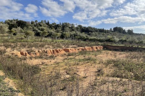 Tontti myytävänä Ariany, Mallorca, Espanja, 3 makuuhuonetta, 15048 m2 No. 137545 - kuva 8