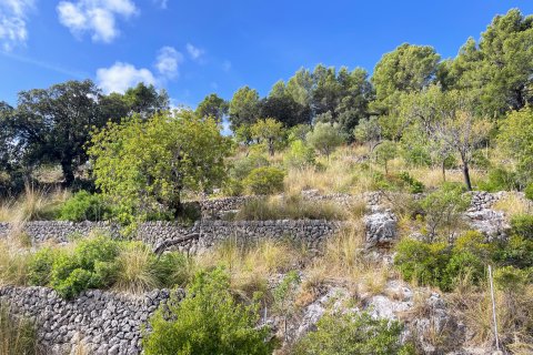 Apartament Caimari, Mallorca, Hiszpania 3 sypialnie, 187 mkw. nr 137546 – zdjęcie 3