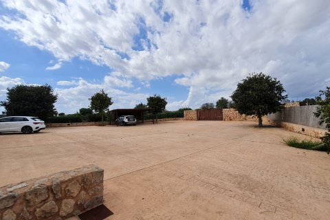 Finka Porto Cristo, Mallorca, Hiszpania 4 sypialnie, 454 mkw. nr 137549 – zdjęcie 28