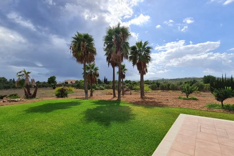 Finka Porto Cristo, Mallorca, Hiszpania 4 sypialnie, 454 mkw. nr 137549 – zdjęcie 29